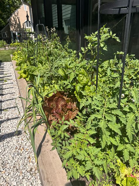 A framework you MUST HAVE when reading the Bible