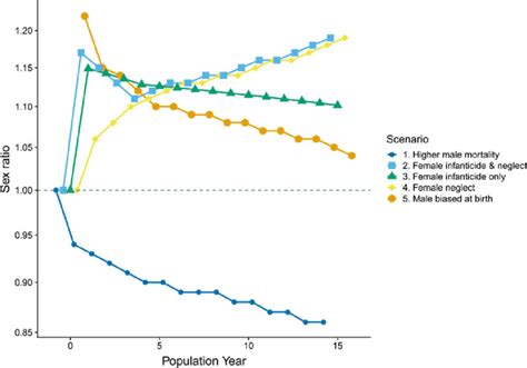 Population Sex Ratio By Age Cohort In A Hypothetical Population Under