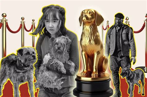 Canine Stars Shine Bright Unveiling The Magic Behind The Pawscars