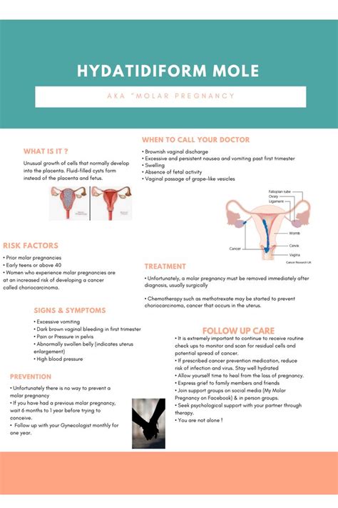 Molar Pregnancy in 2024