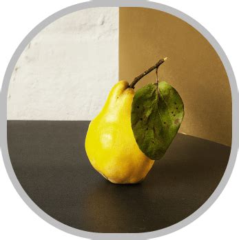 dunja vranjska najkvalitetnija visokoprinosna sadnica