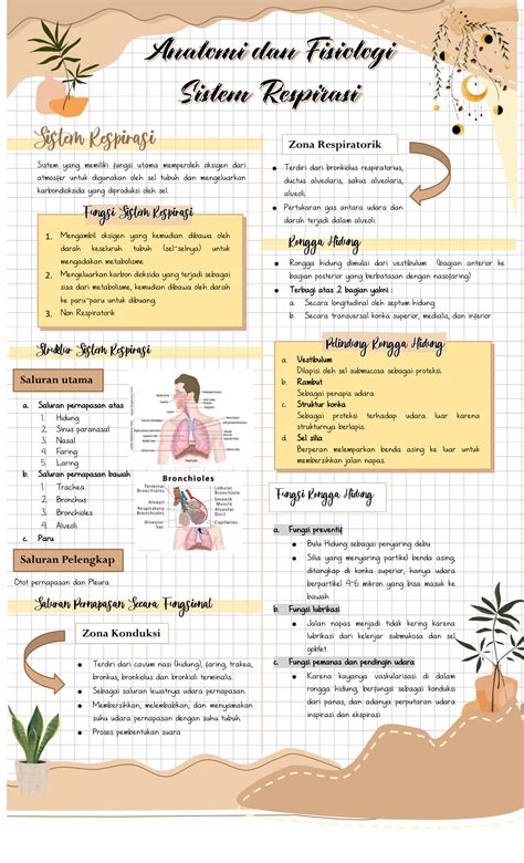SOLUTION: Anatomi dan fisiologi sistem respirasi - Studypool