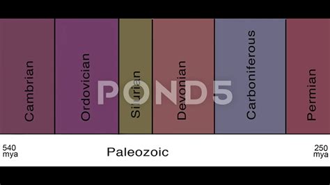 Paleozoic Era Timeline