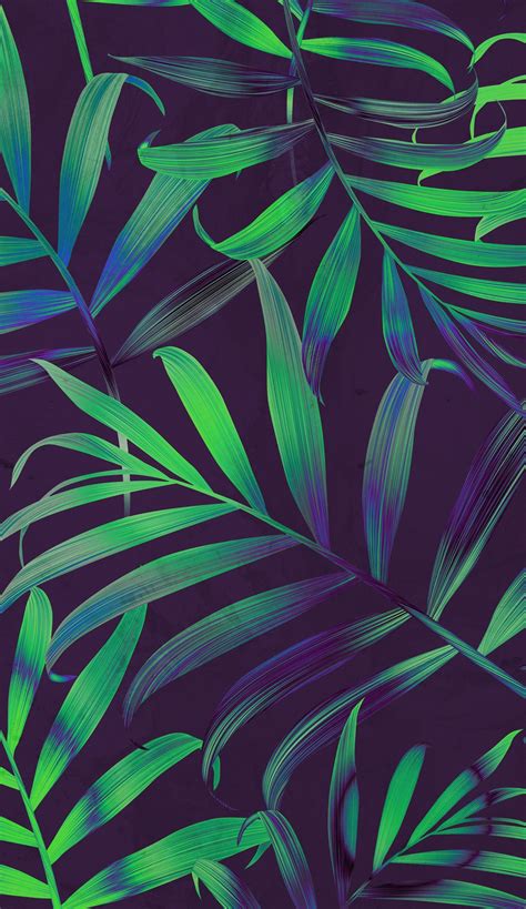 tropical screensavers 2