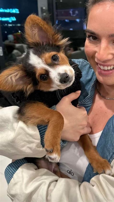 Unmasking The Past: 5 Clues To Decode Your Dog's Ancestry