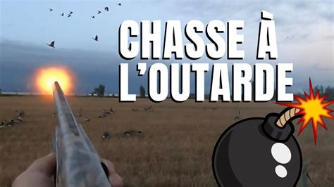 Chasse à loutarde en pré saison goose hunt YouTube