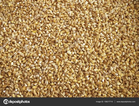Free photo: Barly background - Agriculture, Raw, Malt - Free Download ...