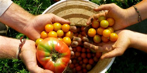 Cos è l agricoltura biologica come si fa in Italia e dov è più diffusa