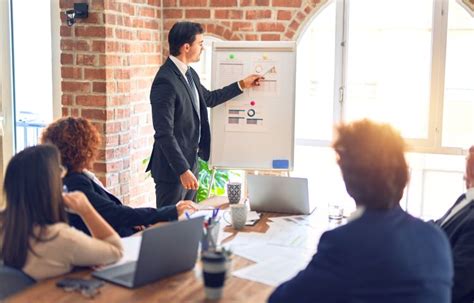 msc  international business management