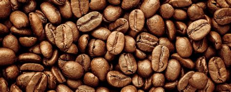 Сеть мини-кофеен "Мой Выбор" | Продажа кофе и безалкогольных напитков в ...