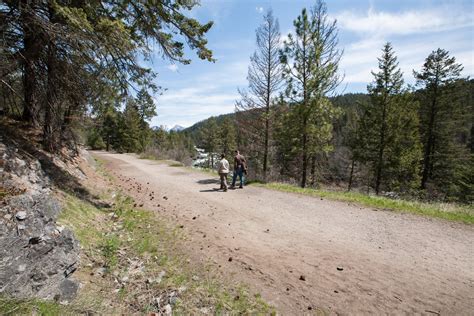 Naturalist Hike Along the Bigfork Nature Trails (formerly Swan River