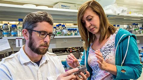 25 Best Chemical Engineering Schools 2024