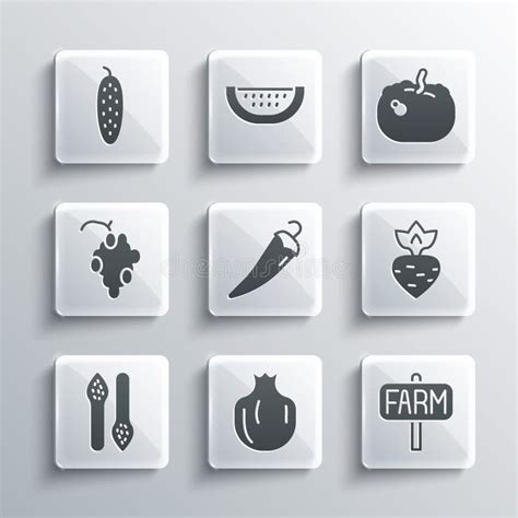 Set Pomegranate Location Farm Turnip Hot Chili Pepper Asparagus
