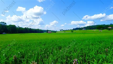 field  grass  sky background backgrounds jpg