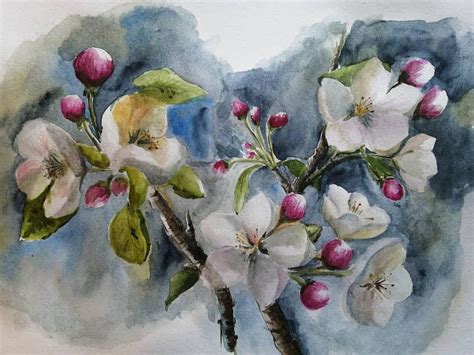 Цветущая ветка яблони on Behance