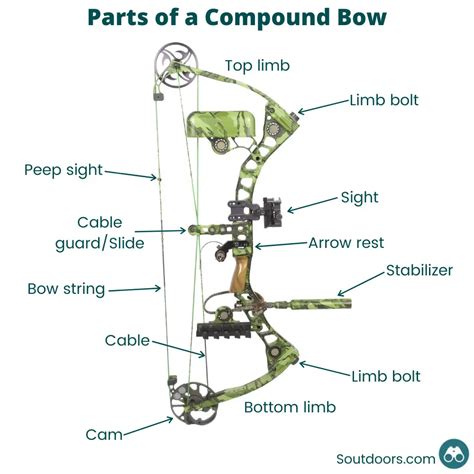 Explore The Genesis Bow Diagram For Nasp
