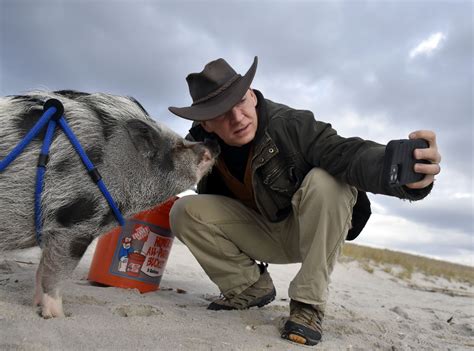 Mini Pig Hamlette Helps with Clean Ocean Action Beach Sweeps Cleanup