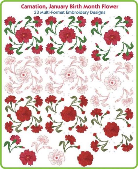 Carnation January Birth Month Flower (AUS) Embroidery Design Pack ...