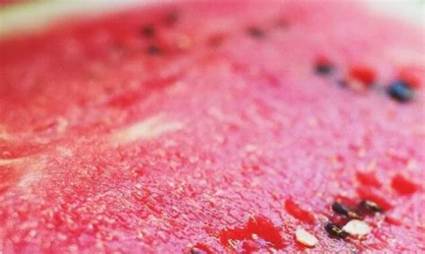 Арбузные семечки эффективны против кожных заболеваний :: :: RusNews