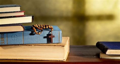 Sex Education In Catholic Schools Covers Facts And Values Bishops Say The Irish Times