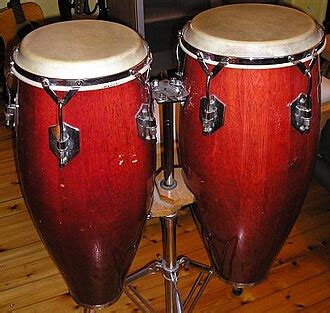 O Que Significa Conga - Conga (instrumento musical) – Wikipédia, a enciclopédia livre