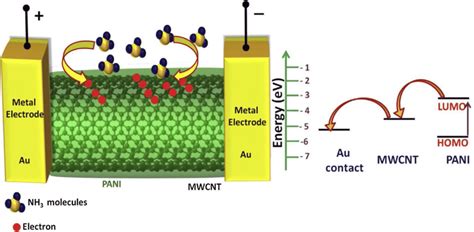 Schematic Representation Of Ammonia Adsorption And Electron Transfer In