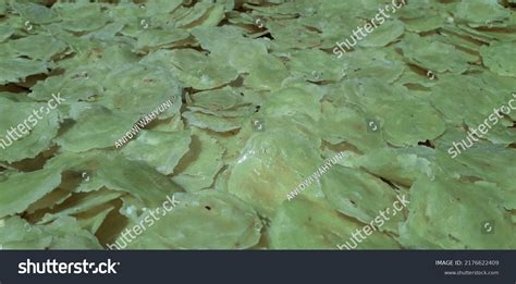 emping indonesia  drying afternoon stock photo