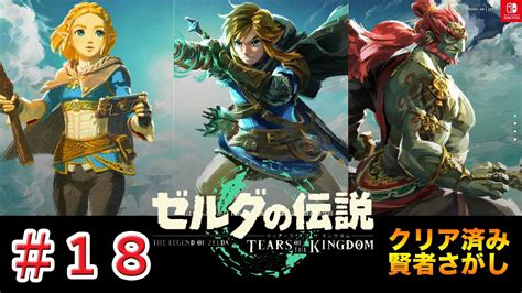 【初見】ゼルダの伝説 ティアーズ オブ ザ キングダム（the Legend Of Zelda Tears Of The Kingdom