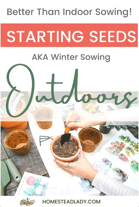 Winter Sowing - Starting Seeds Outdoors • Homestead Lady