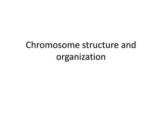 Chromosome structure.ppt principals of genetics | PPT | Genetics | Science