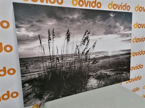 Quadro Tramonto Sulla Spiaggia In Bianco E Nero Dovido It