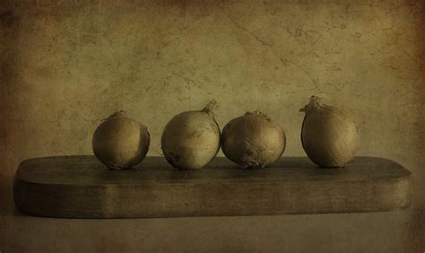 Onions Textures By Skeletal Mess Softened Faux Ghostbo Flickr