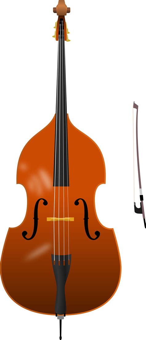 Double Bass Pictures Clipart Best