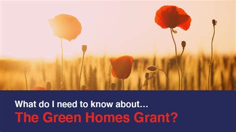 Green Homes Grant Scheme Need To Know Guide Horizon Lets