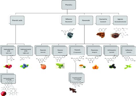 Main Polyphenol Classes With Structure Name Of Representative