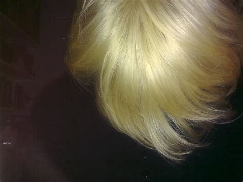 When I Get Bored I Dye My Hair...: Nordic Blonde Intensive Lightener L1 ...