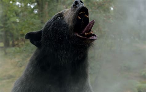 cocaine bear review fucked   furry   wildest