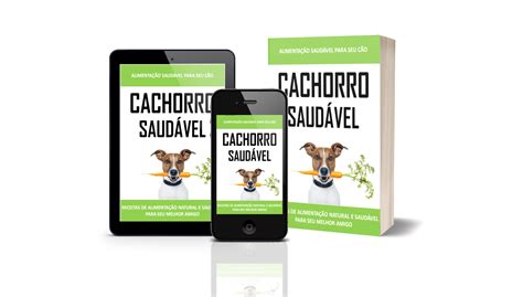 Lista de 13 alimentos saudáveis para cachorros