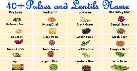 pulses  lentils names vocabularyan