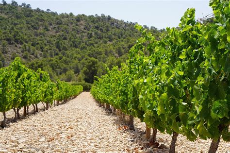 Casa Castillo: Mediterranean Spain earns its place in the sun - Indigo ...