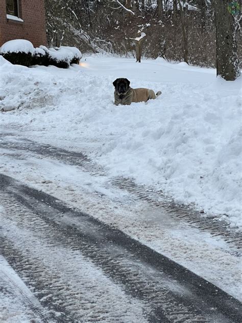 Snow totals: How much did your neighborhood get? – WHIO TV 7 and WHIO Radio