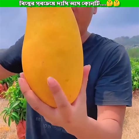 Shorts বিশ্বের সবচেয়ে দামি আম Shortvideo Shortvideo Viralshortsvideo Youtube