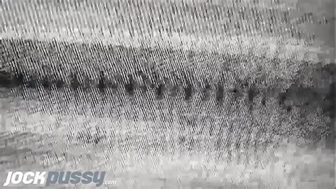 V Deos Gay Trans Xvideos