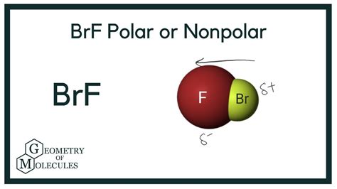 Brf Polar Or Nonpolar Bromine Fluoride Youtube