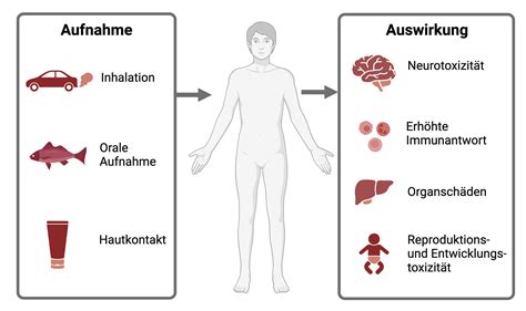 Liquorgrüße vom Joghurtbecher. - DocCheck