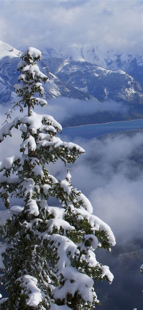 Wallpaper Banff National Park, mountains, winter, snow, trees, clouds, Canada 5120x2880 UHD 5K ...