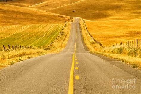 The Golden Road Photograph By Alice Cahill Fine Art America