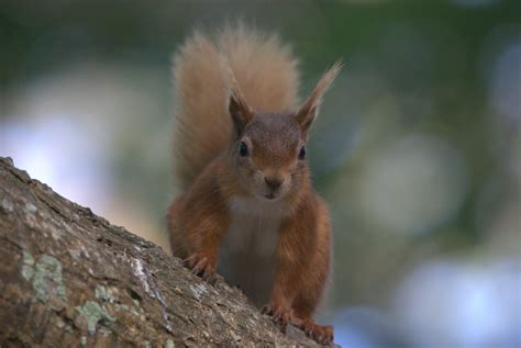 Past Events | Sandbanks Community Group