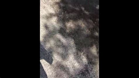 Ma Queue En Camping Naturiste Pornhub Gay