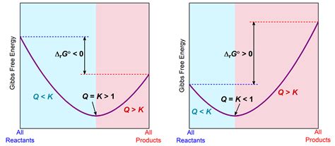 Gibbs Donnan Equilibrium 1